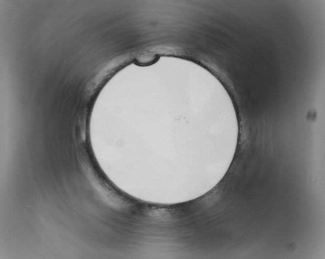 X0000111490062200908251035