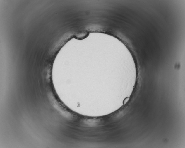 X0000111490065200908251035