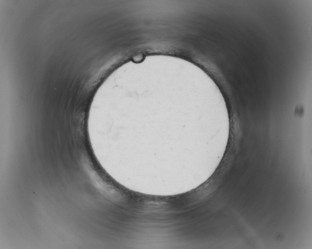 X0000111490066200908251035