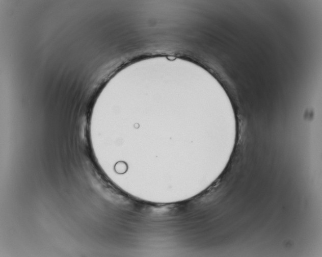 X0000111490068200908251035