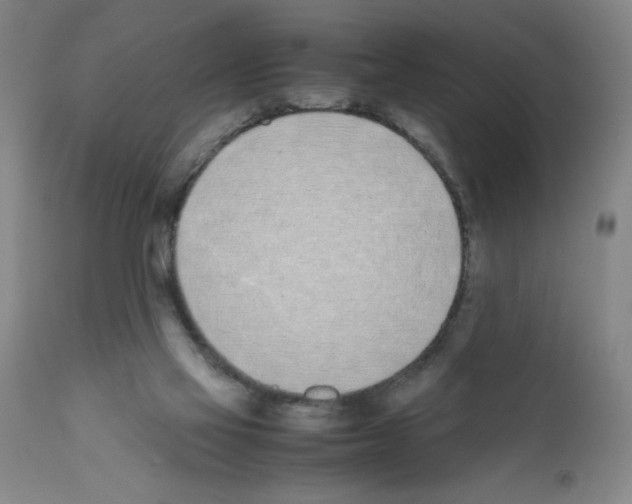 X0000111490069200908251035