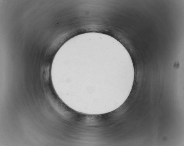 X0000111490070200908251035
