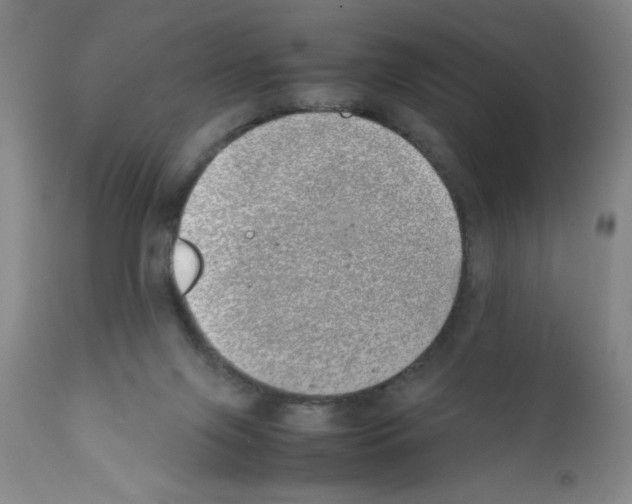 X0000111490071200908251035