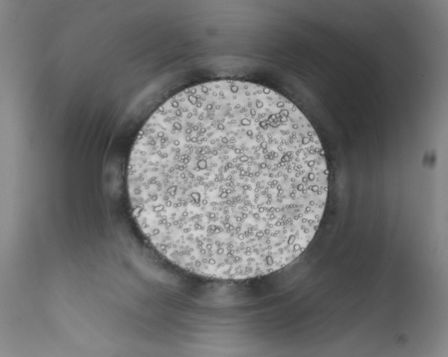X0000111490074200908251035