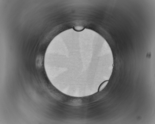 X0000111490075200908251035