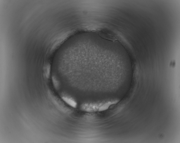 X0000111490076200908251035
