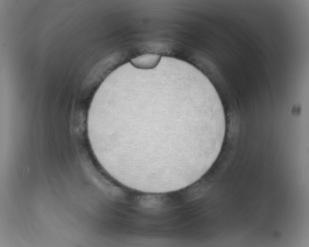 X0000111490077200908251035