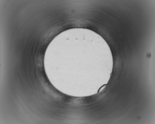 X0000111490078200908251035