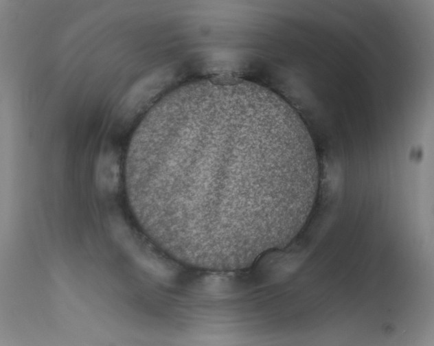 X0000111490080200908251035