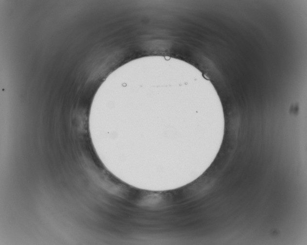 X0000111490083200908251035