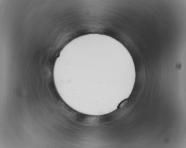 X0000111490084200908251035