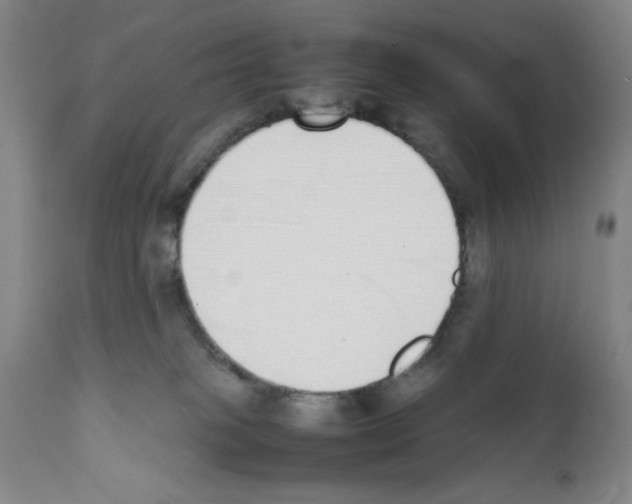 X0000111490085200908251035