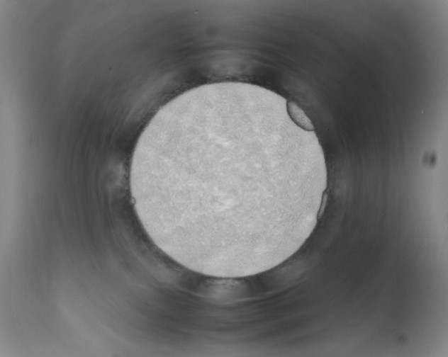 X0000111490087200908251036