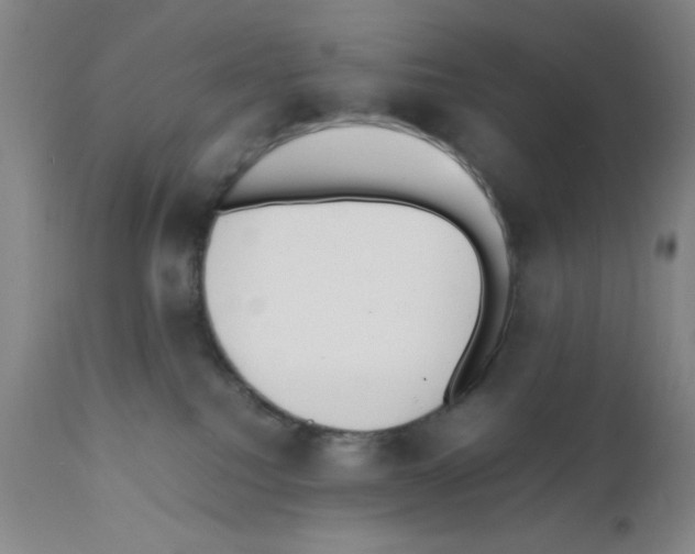 X0000111490088200908251036