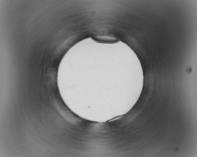 X0000111490092200908251036