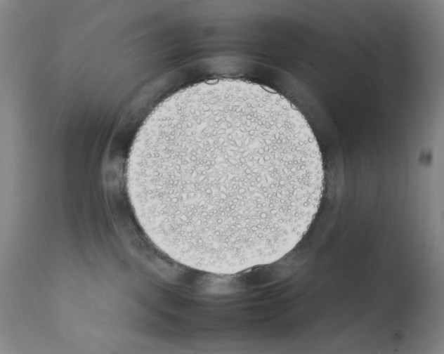 X0000111490093200908251036
