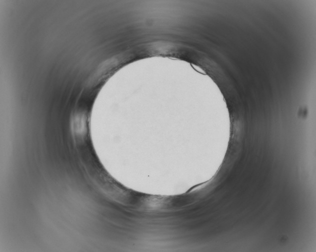 X0000111490094200908251036