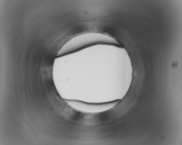 X0000111490096200908251036