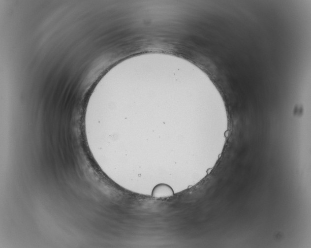 X0000111490098200908251035