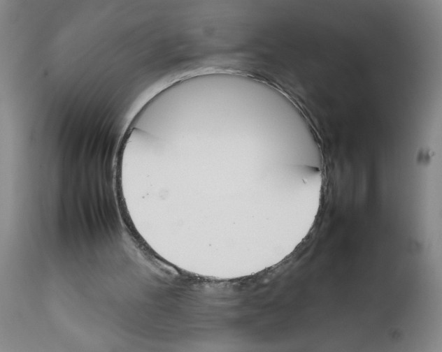 X0000111490100200908251035