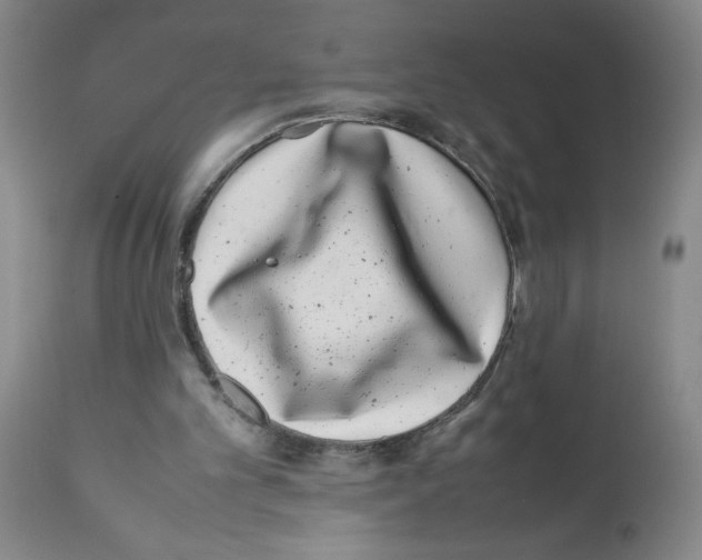 X0000111490101200908251035