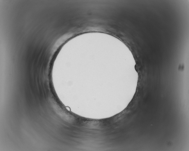 X0000111490104200908251035