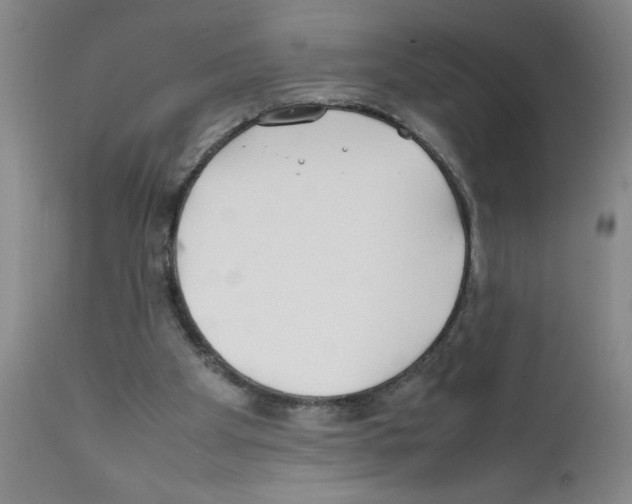 X0000111490105200908251035