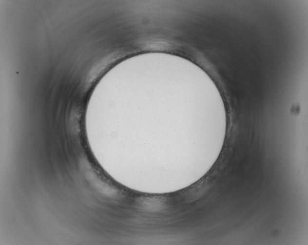 X0000111490106200908251035
