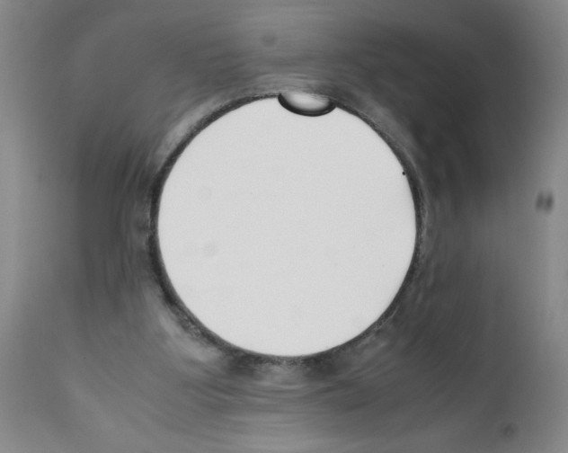 X0000111490107200908251035