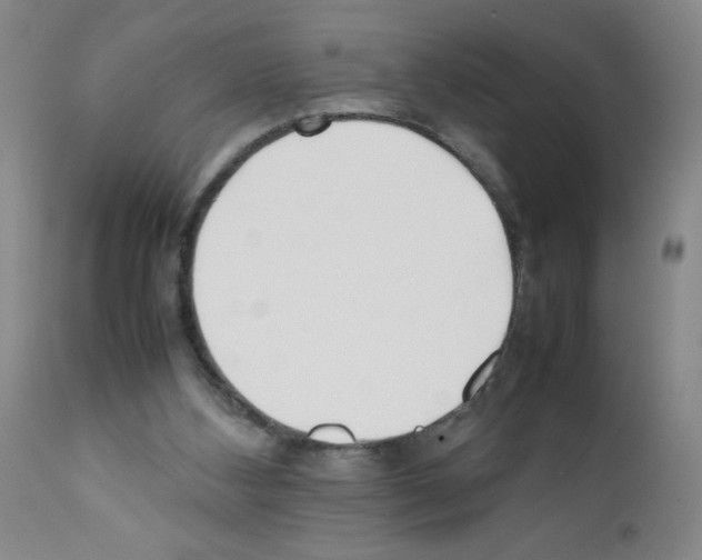 X0000111490108200908251035
