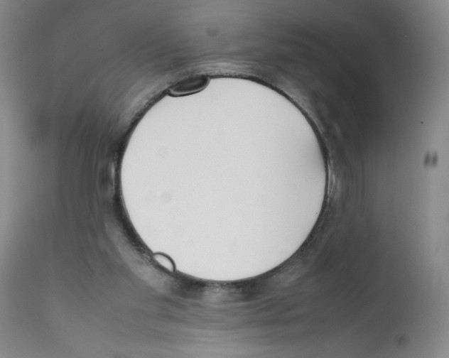 X0000111490109200908251035