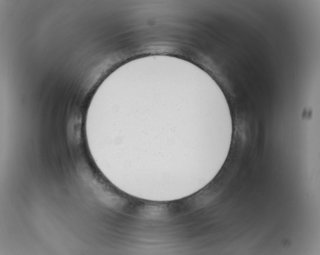 X0000111490110200908251035