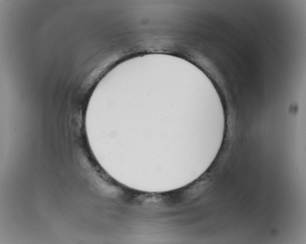 X0000111490113200908251035