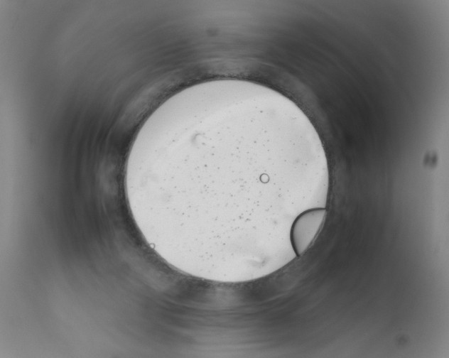 X0000111490114200908251035