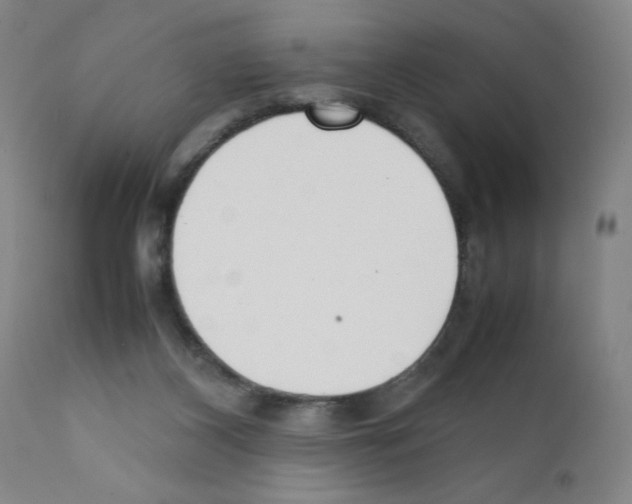 X0000111490116200908251035
