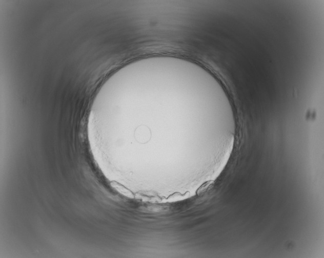 X0000111490117200908251035