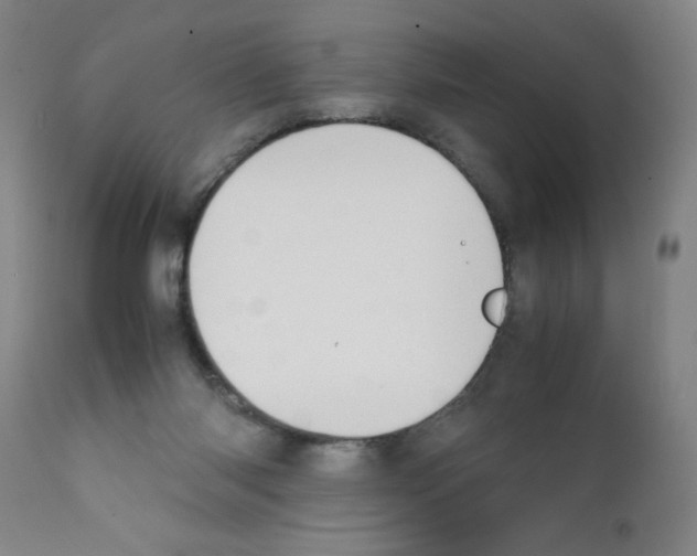 X0000111490118200908251035