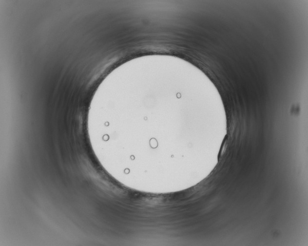 X0000111490120200908251035