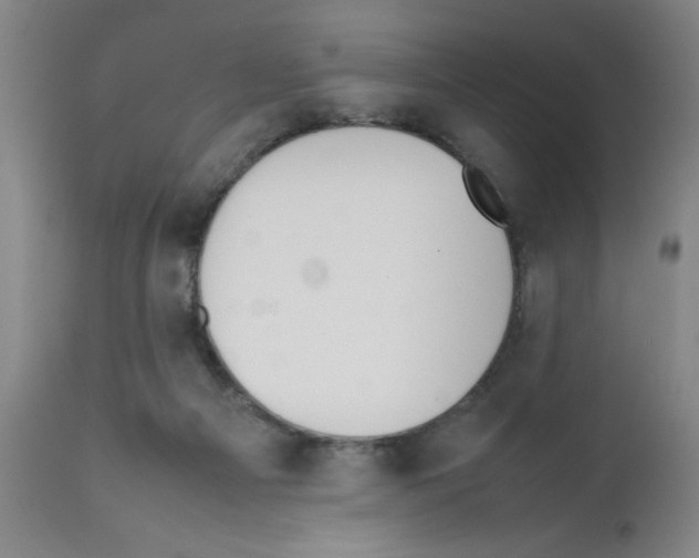 X0000111490121200908251035