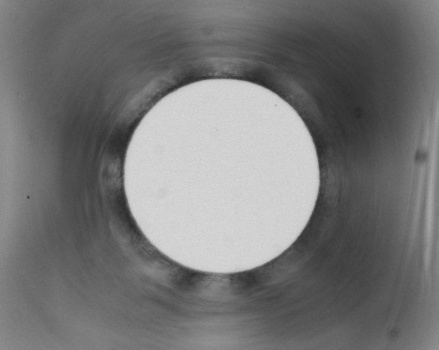 X0000111490123200908251035