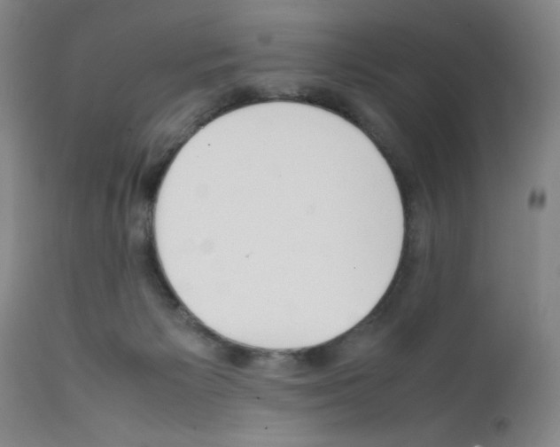 X0000111490125200908251035