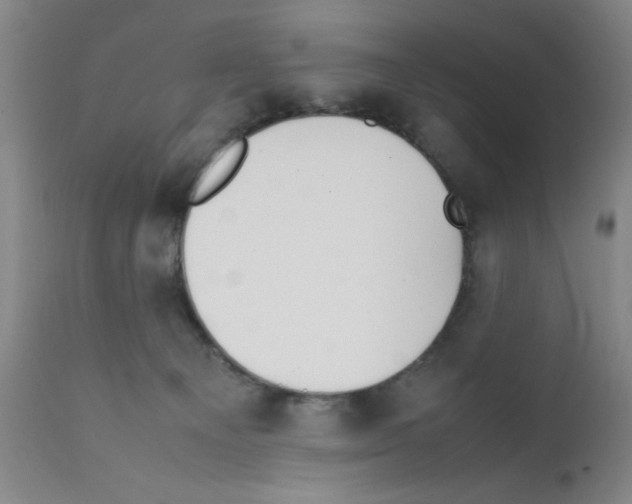 X0000111490129200908251035