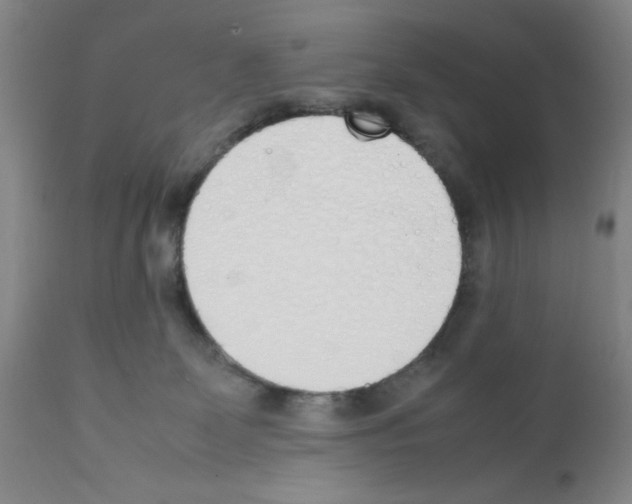 X0000111490131200908251035