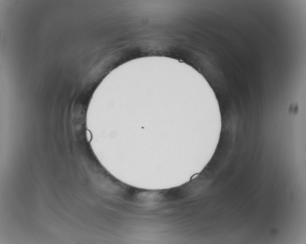 X0000111490133200908251034