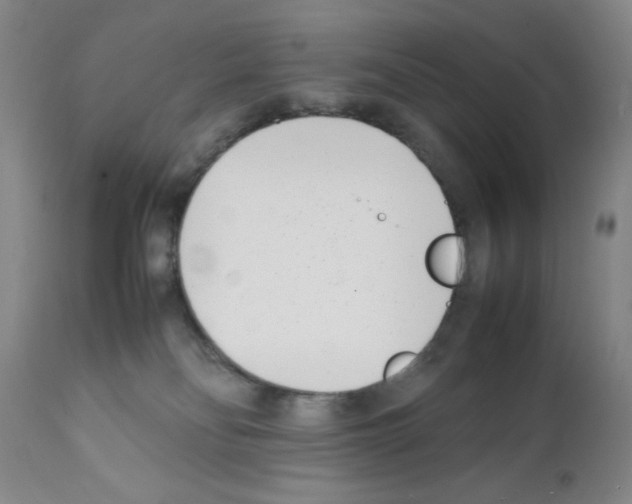 X0000111490134200908251034