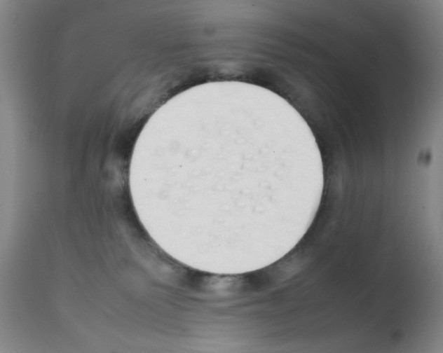 X0000111490135200908251034