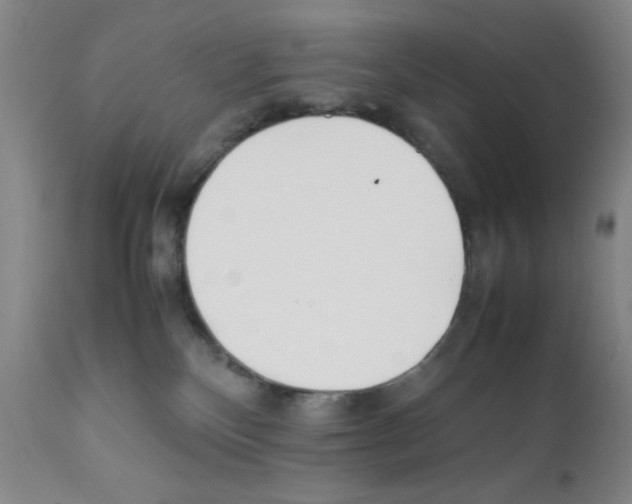 X0000111490136200908251034