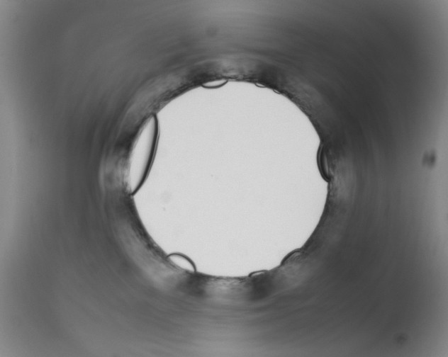 X0000111490137200908251034