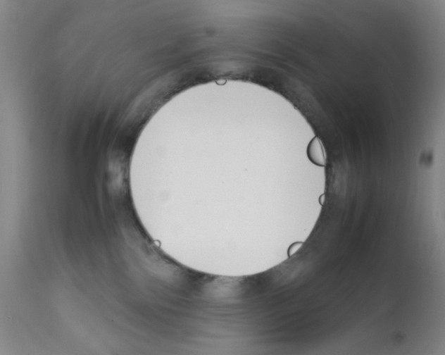 X0000111490138200908251034