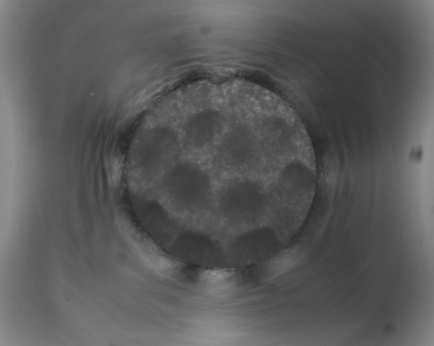 X0000111490139200908251034